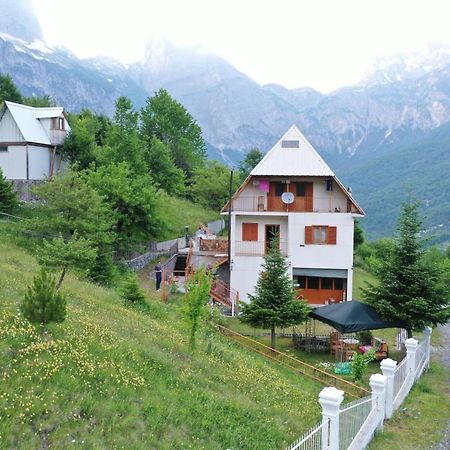 Alpbes Theth Guesthouse Shkoder Ngoại thất bức ảnh