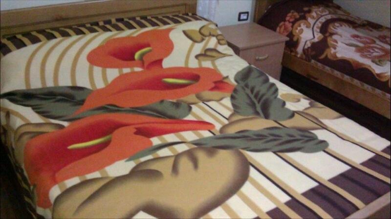 Alpbes Theth Guesthouse Shkoder Ngoại thất bức ảnh
